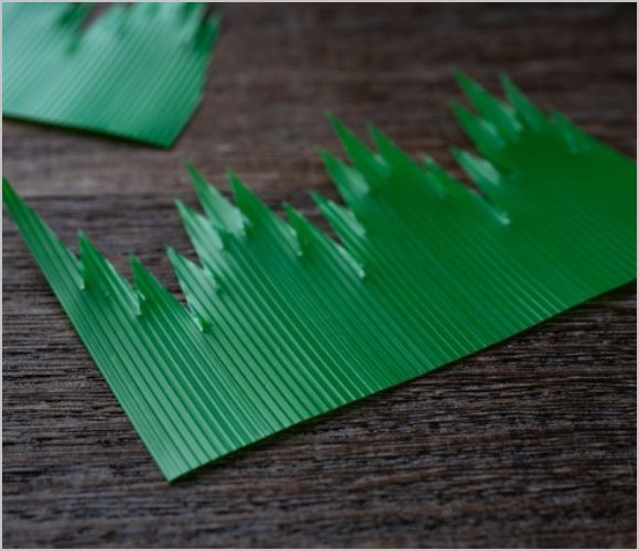お弁当に欠かせないバランとは？ 知っておくべき使い方と選び方完全ガイド